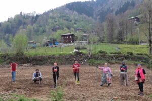 Bostan Düzenleme HeşinYaşam