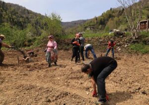 Bostan Düzenleme HemşinYaşam